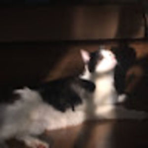 Meet your Posher, Caroline